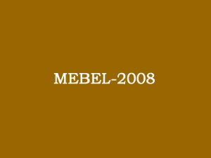 The MEBEL-2008 Fair